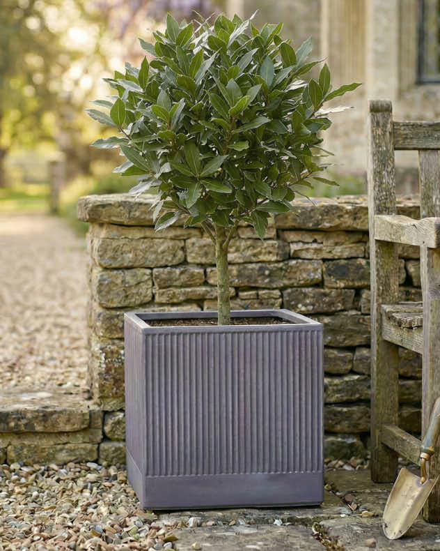 Agri Grey Ribbed Planter Collection - Image 3