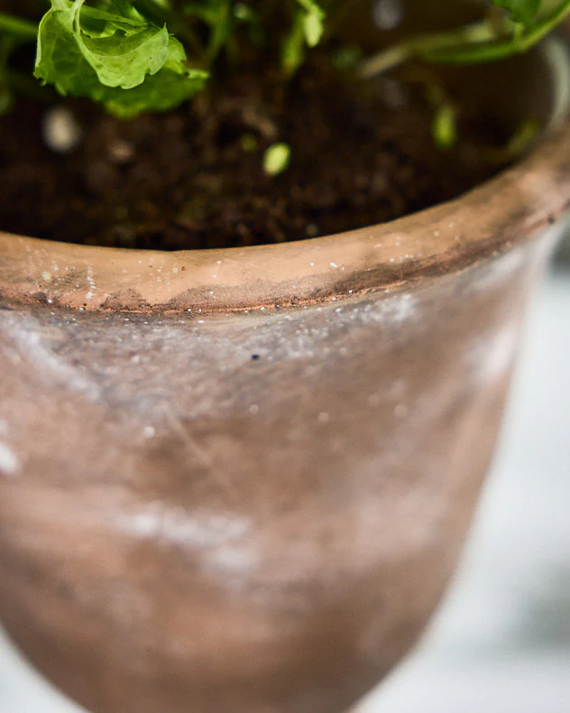 Almeria Rustic Urn Planters - Image 4