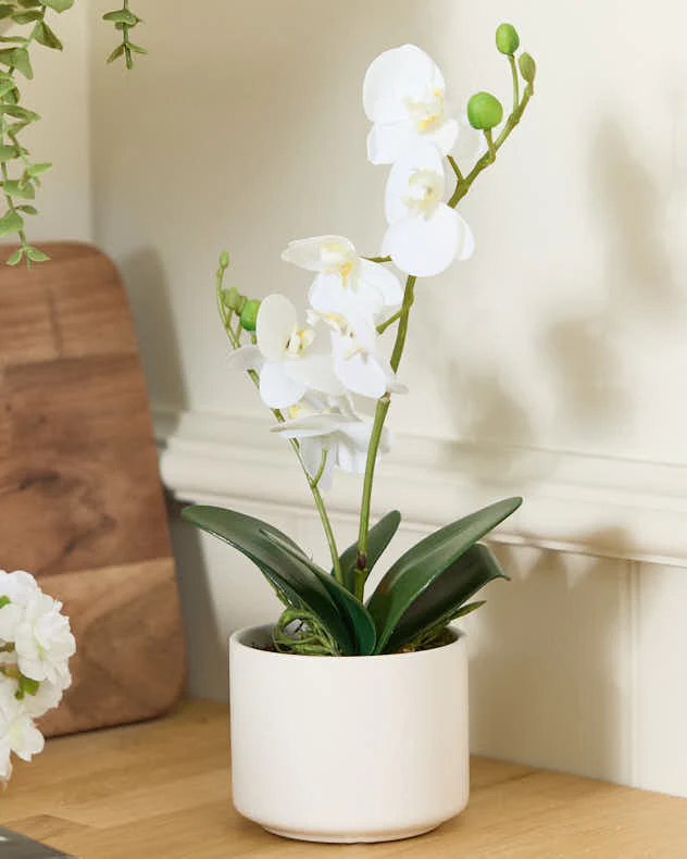 Artificial Potted White Orchid - Image 4
