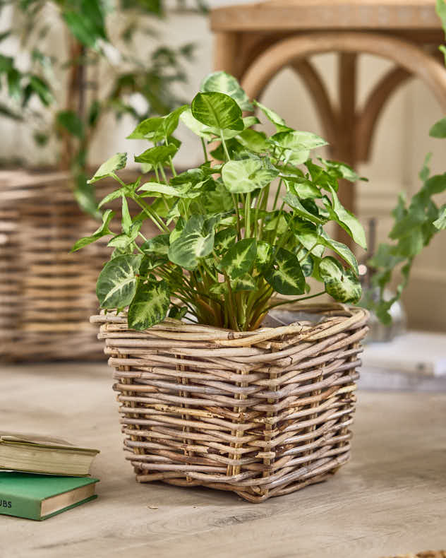 Bala Square Lined Baskets - Image 4