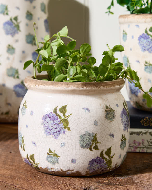 Blue Hydrangea Planter Collection - Image 4
