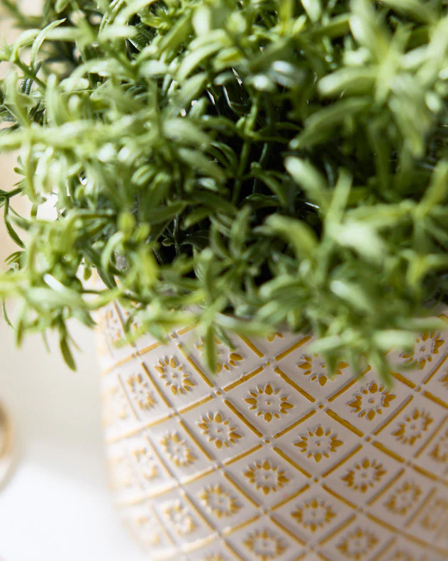 Corona Diamond Patterned Planters - Image 4