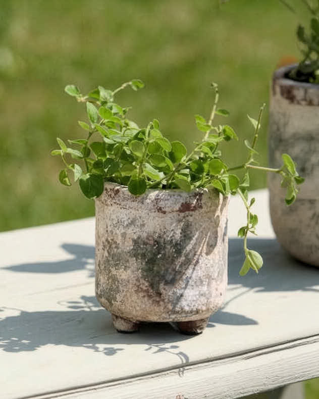 Earthy Terracotta Footed Planters - Image 5