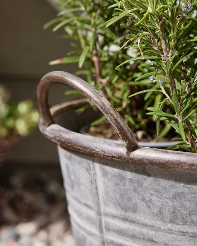 Galvanised Tub Planter - Image 5