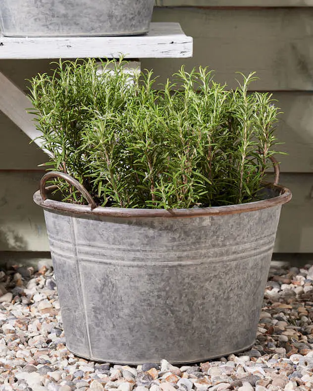 Galvanised Tub Planter - Image 7