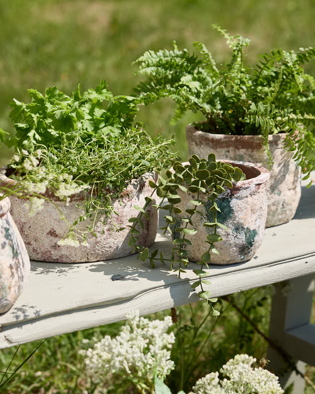 Green Terracotta Weathered Planters - Image 3