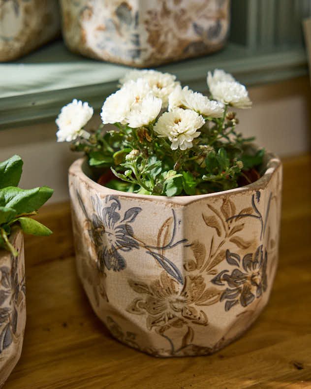 Ivory and Blue Planter Collection - Image 5