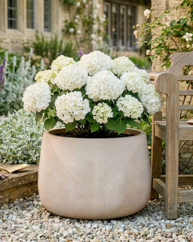 Kalo Striped Planter Collection - Image 4