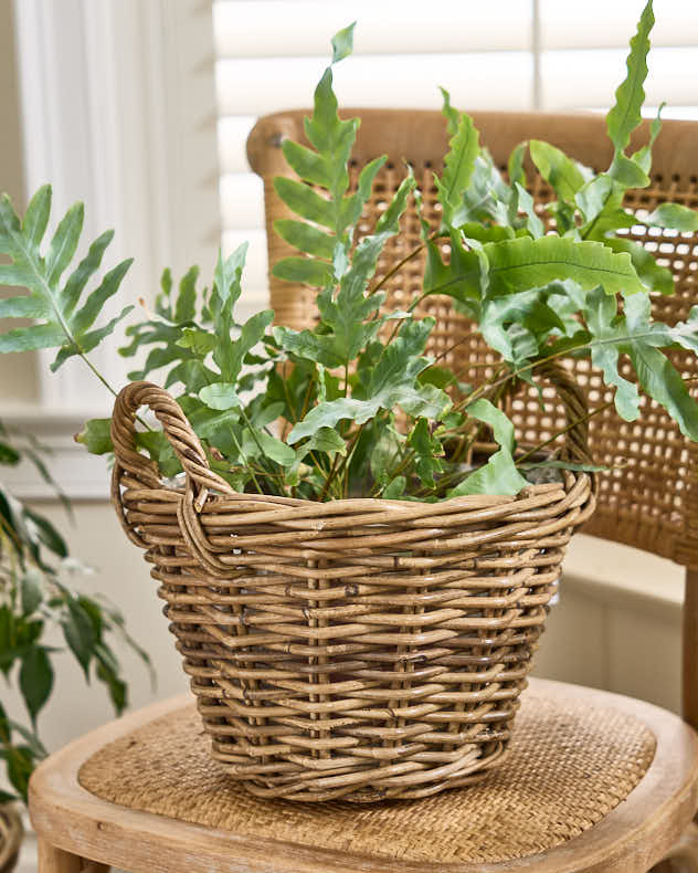 Lira Round Lined Baskets with Handles - Image 6