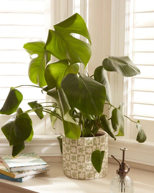 Green Floral Checkerboard Planters - Image 4