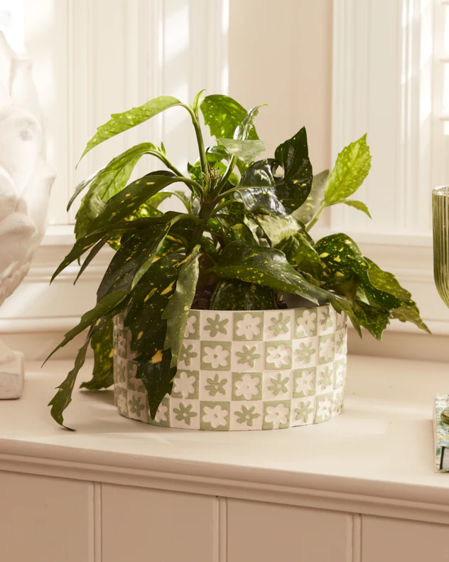 Green Floral Checkerboard Planters - Image 5