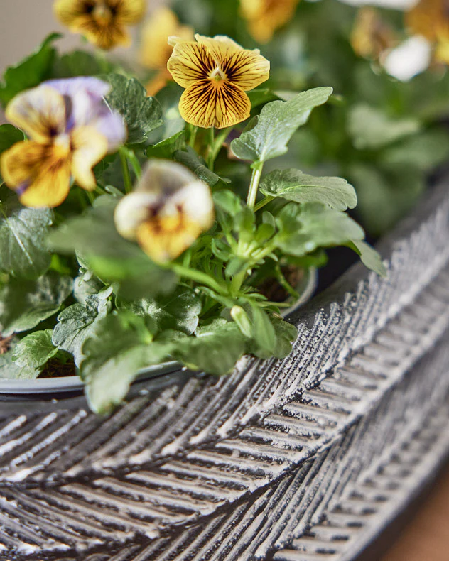 Missoni Grey Trough Planter - Image 4