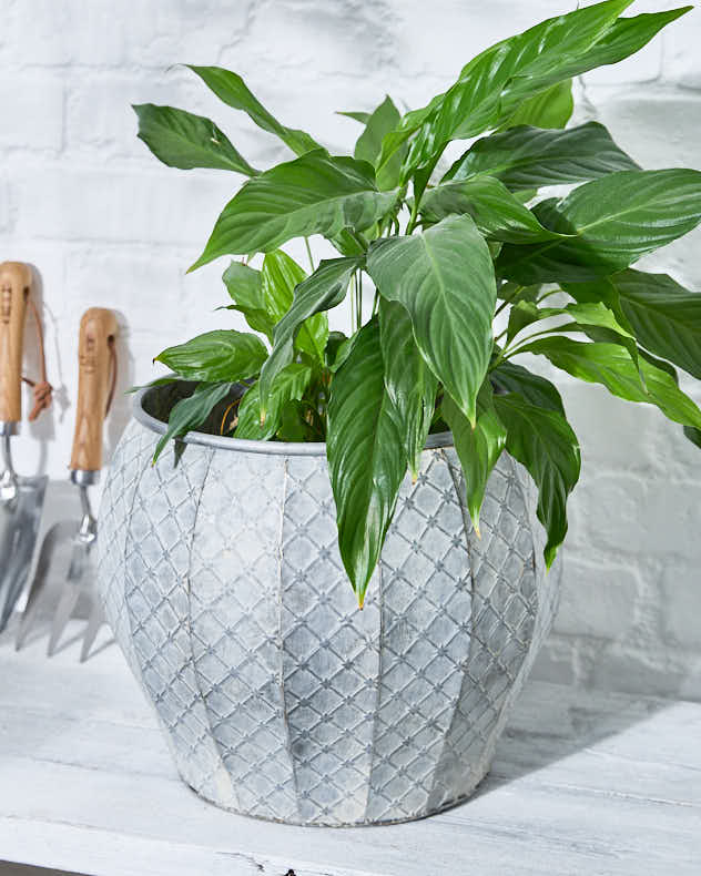 Set of 3 Textured Metal Planter Tubs - Image 4